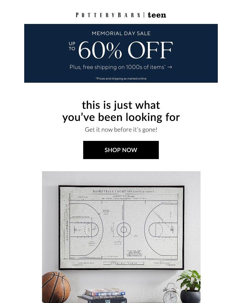 Screenshot of email with subject /media/emails/your-vibe-our-prints-canvas-art-up-to-60-off-7d2a50-cropped-36eeecb8.jpg