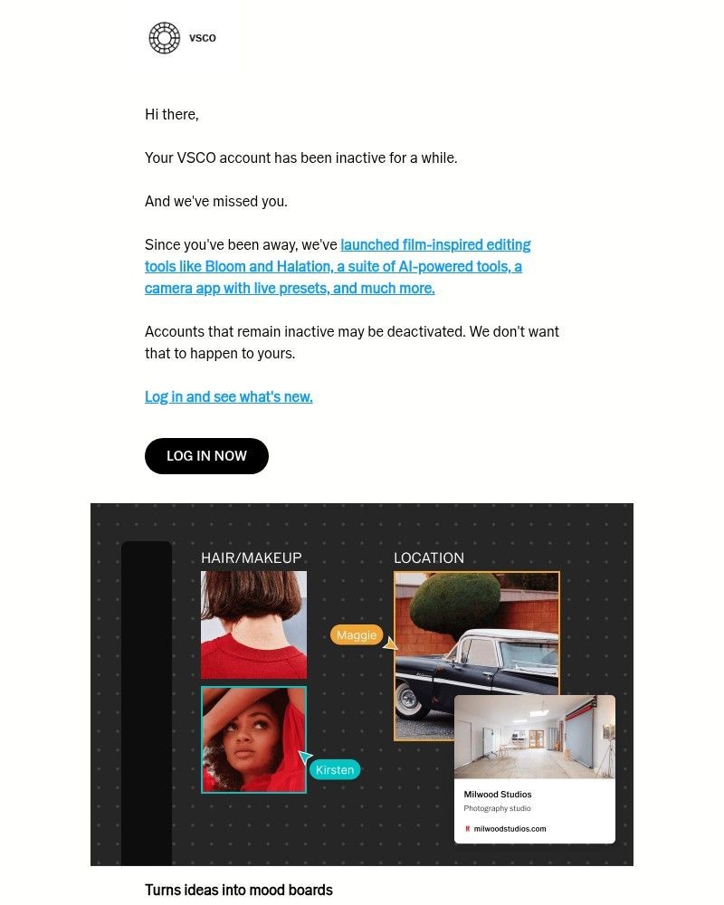 Screenshot of email sent to a VSCO Registered user