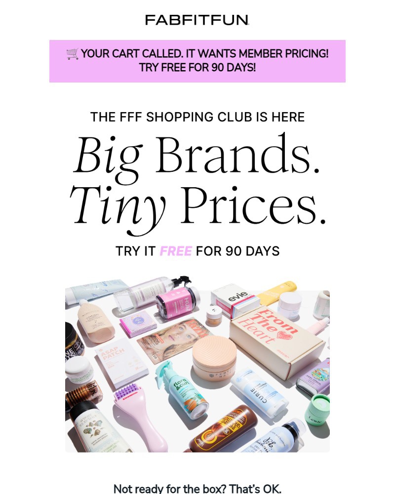 Screenshot of email sent to a FabFitFun Newsletter subscriber