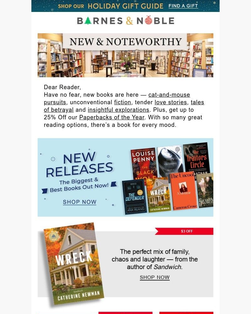 Screenshot of email sent to a Barnes and Noble Newsletter subscriber