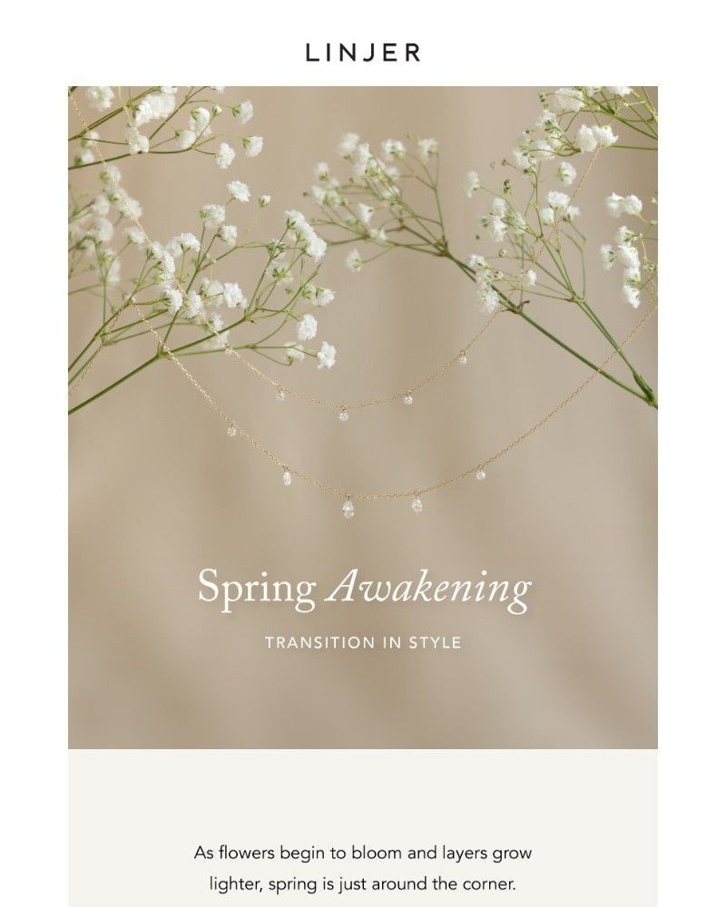 Screenshot of email sent to a Linjer Newsletter subscriber