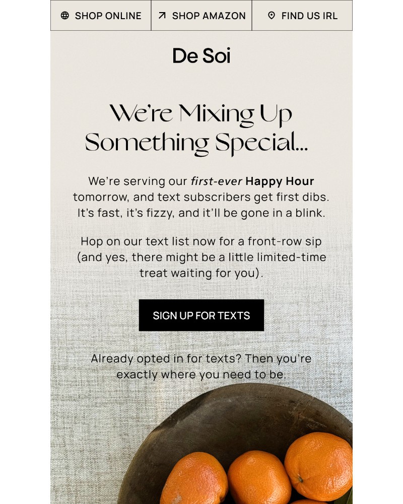 Screenshot of email with subject /media/emails/youre-gonna-want-to-be-on-our-text-list-5f5a12-cropped-4ee6bddb.jpg