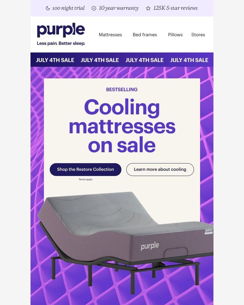 Screenshot of email sent to a Purple Cart abandoner