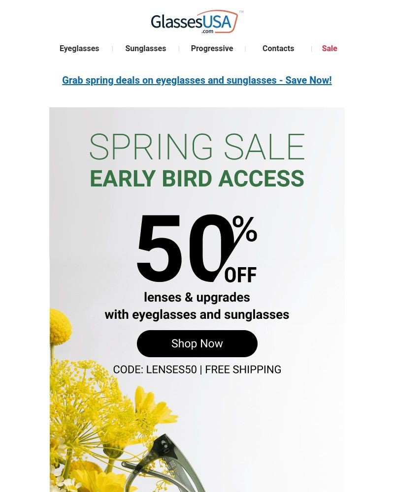 Screenshot of email sent to a Glasses USA Newsletter subscriber