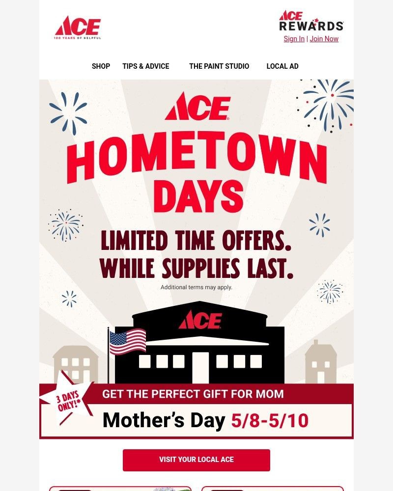 Screenshot of email sent to a Ace Hardware Newsletter subscriber