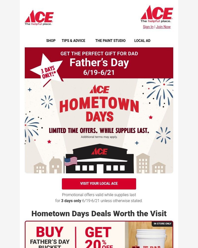 Screenshot of email sent to a Ace Hardware Newsletter subscriber