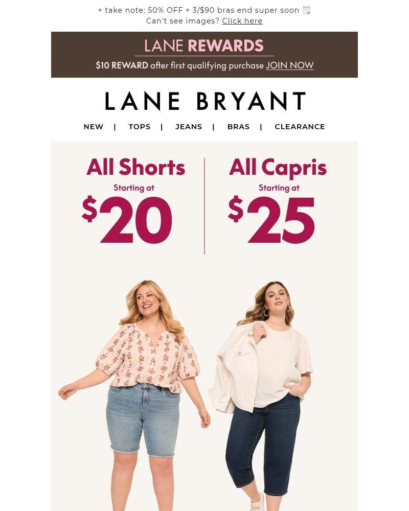 Screenshot of email sent to a Lane Bryant Newsletter subscriber