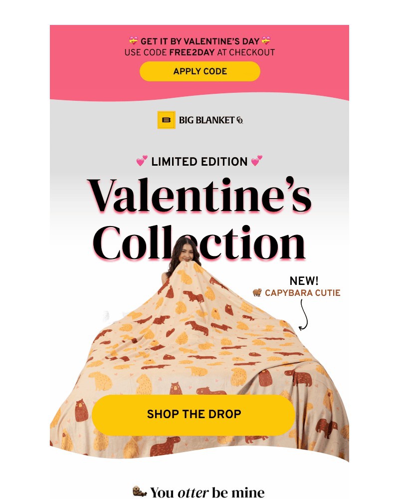 Screenshot of email sent to a Big Blanket Co. Newsletter subscriber