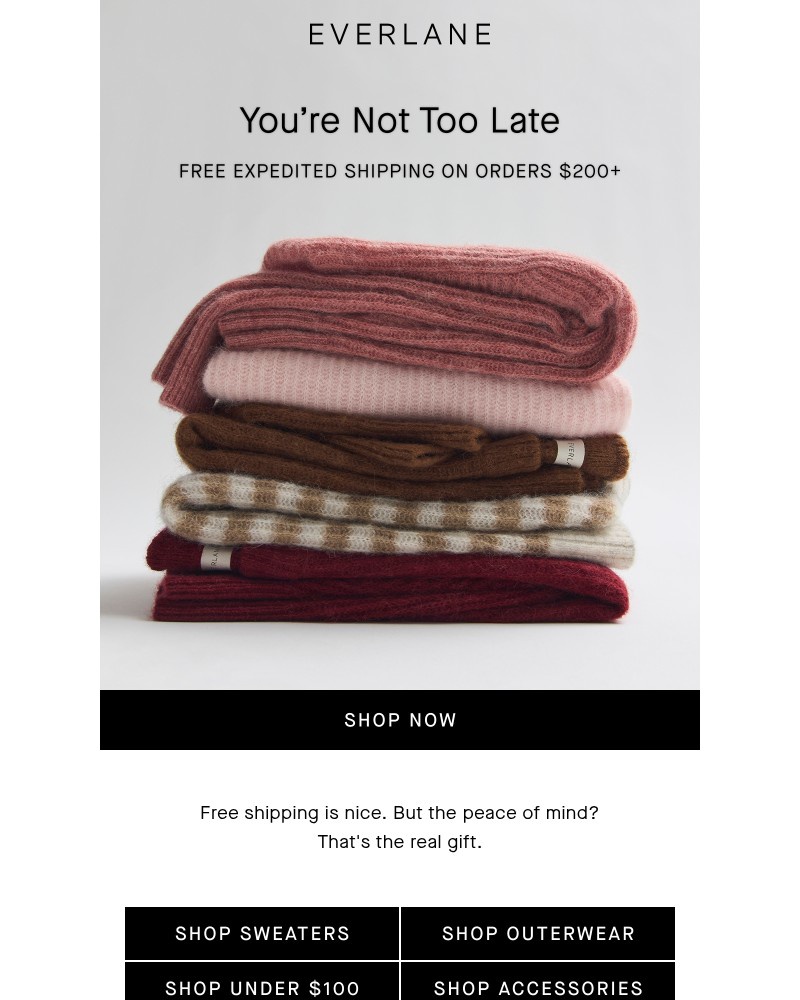 Screenshot of email sent to a Everlane Registered user
