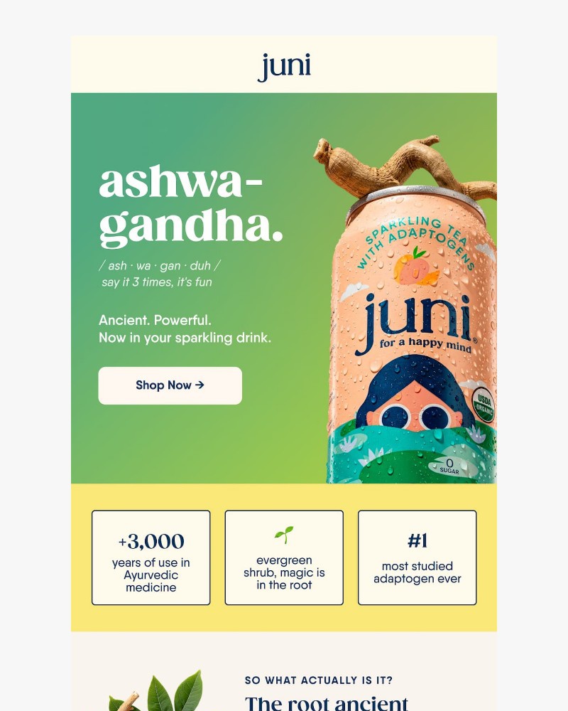 Screenshot of email with subject /media/emails/youve-been-saying-it-wrong-1026d0-cropped-f7b2b8a6.jpg