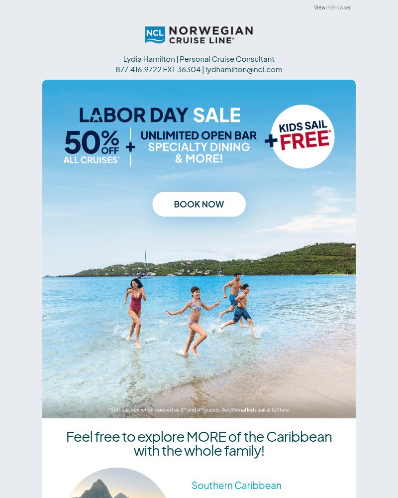 Screenshot of email with subject /media/emails/youve-earned-it-50-off-with-our-labor-day-sale-b6d678-cropped-ddf41701.jpg