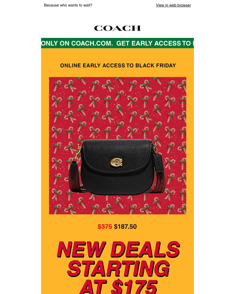 Screenshot of email with subject /media/emails/youve-got-early-access-to-black-friday-but-not-for-long-7ba727-cropped-d61193c5.jpg