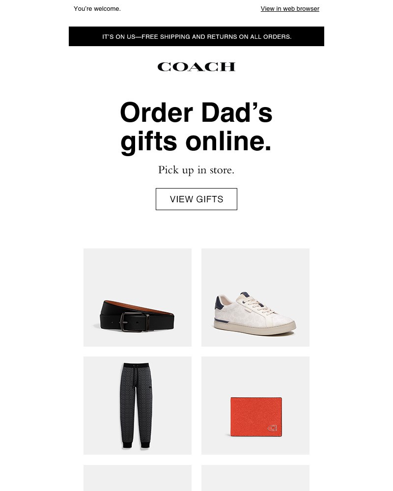 Screenshot of email with subject /media/emails/youve-landed-a-fathers-day-hack-order-online-pick-up-in-store-824bf6-cropped-ef83af4f.jpg