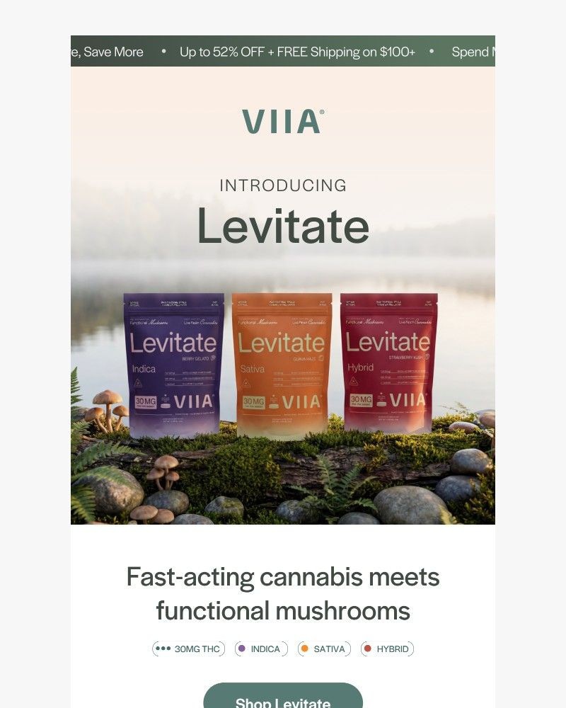 Screenshot of email with subject /media/emails/youve-never-tried-a-gummy-like-this-fecfcb-cropped-b05b3c00.jpg