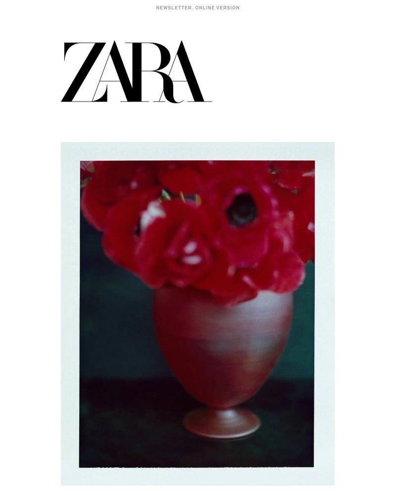 Screenshot of email with subject /media/emails/zara-home-colin-king-collection-ea21c5-cropped-04dcbc9d.jpg