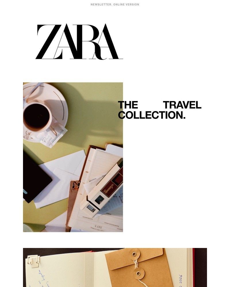 Screenshot of email sent to a Zara Registered user