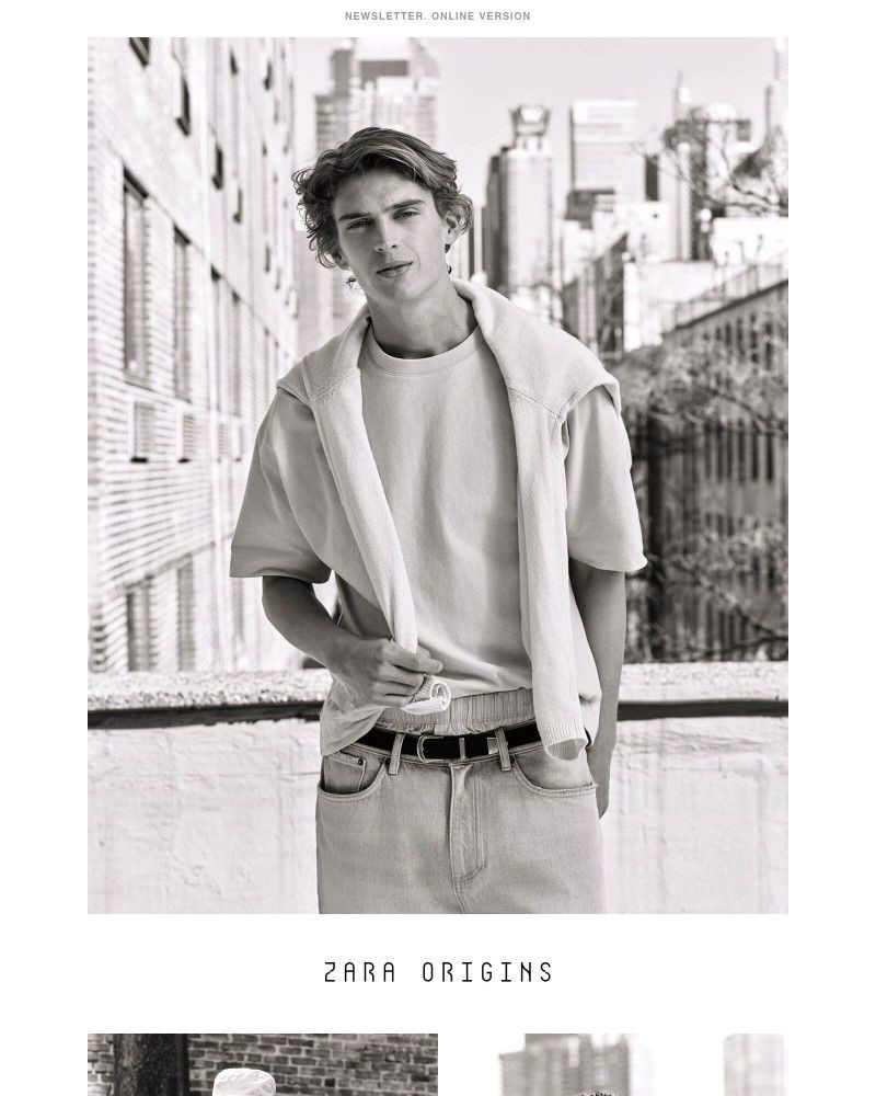 Screenshot of email with subject /media/emails/zara-origins-ed7efa-cropped-358f30a5.jpg