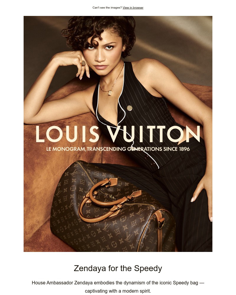 Screenshot of email sent to a Louis Vuitton Newsletter subscriber
